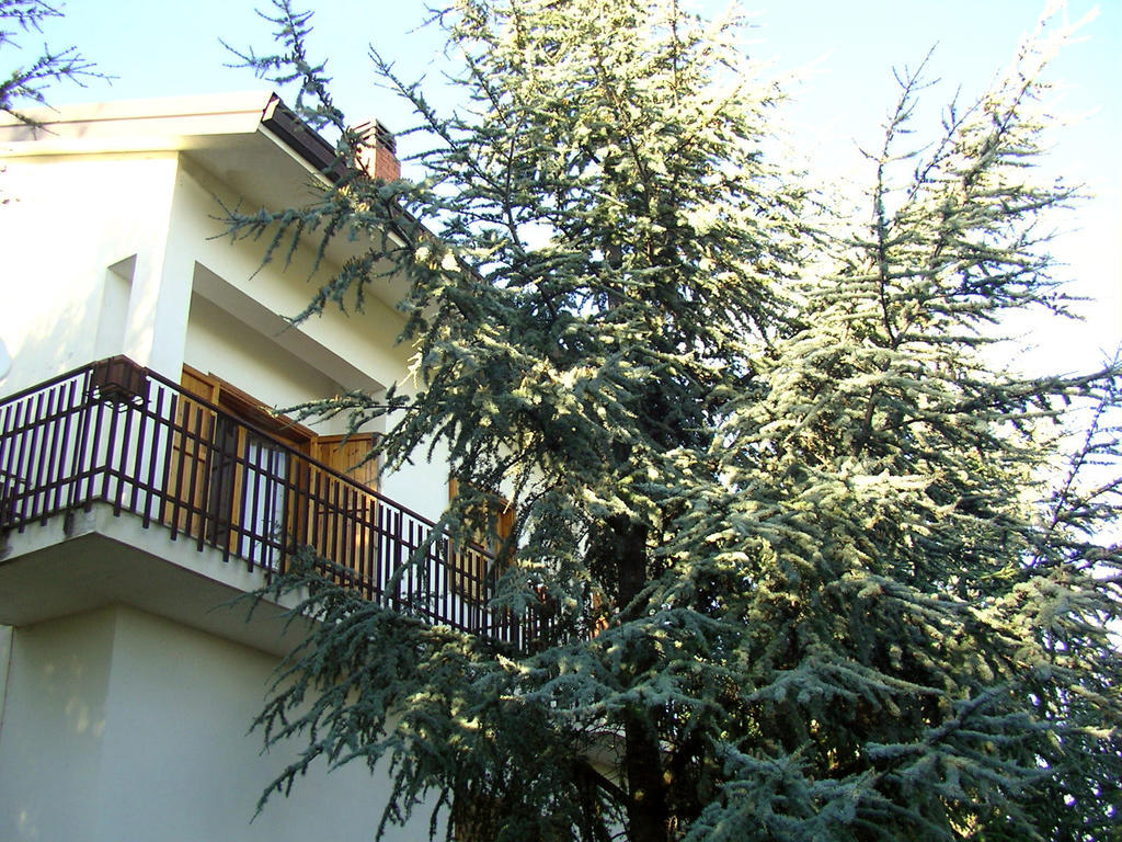 Villa Caterina B&B Pedara Exteriör bild
