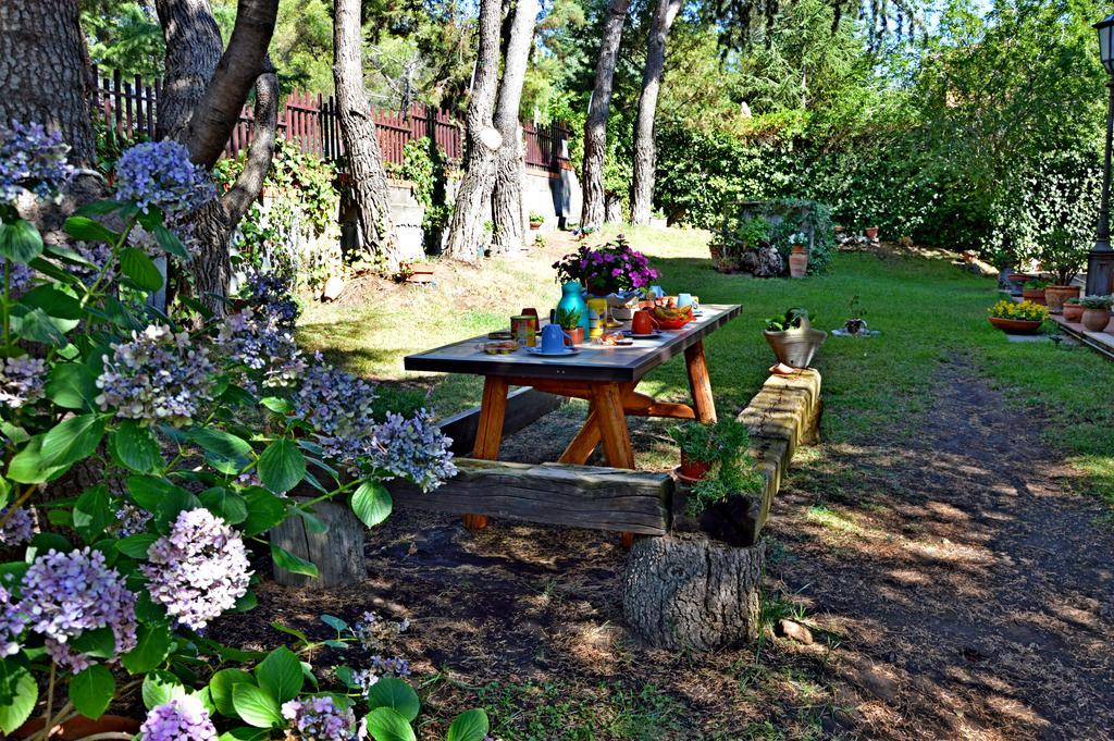 Villa Caterina B&B Pedara Exteriör bild